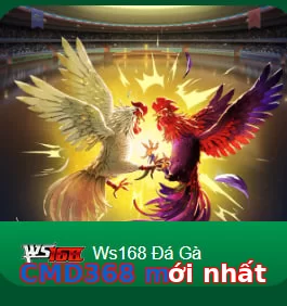 CMD368 mới nhất